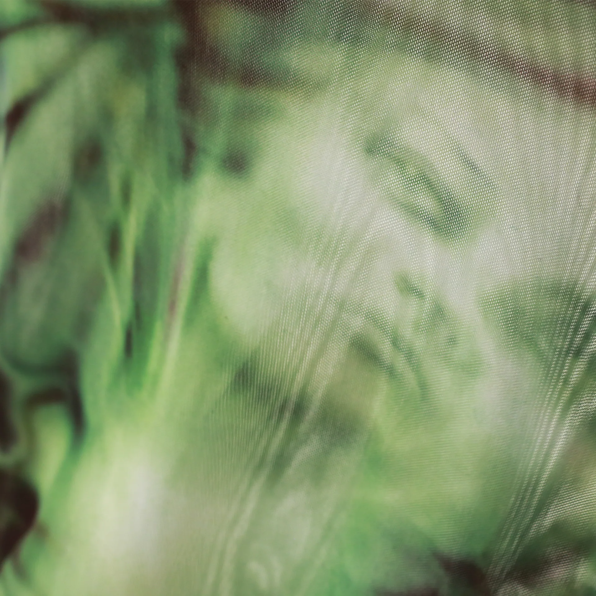 Butterfly Mesh (Green) - Image 4